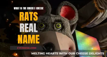 Chuck E. Cheese's Main Rat: What's in a Name?