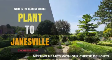 Discover the Closest Cheese Plant to Janesville: A Tasty Adventure