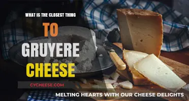Discover the Best Gruyere Cheese Alternatives for Your Recipes
