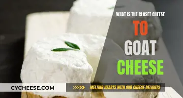 Goat Cheese Alternatives: Closest Cheeses to Try