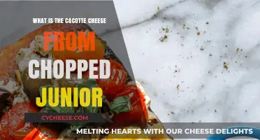 Cocotte Cheese Unveiled: A Chopped Junior Culinary Mystery Explained
