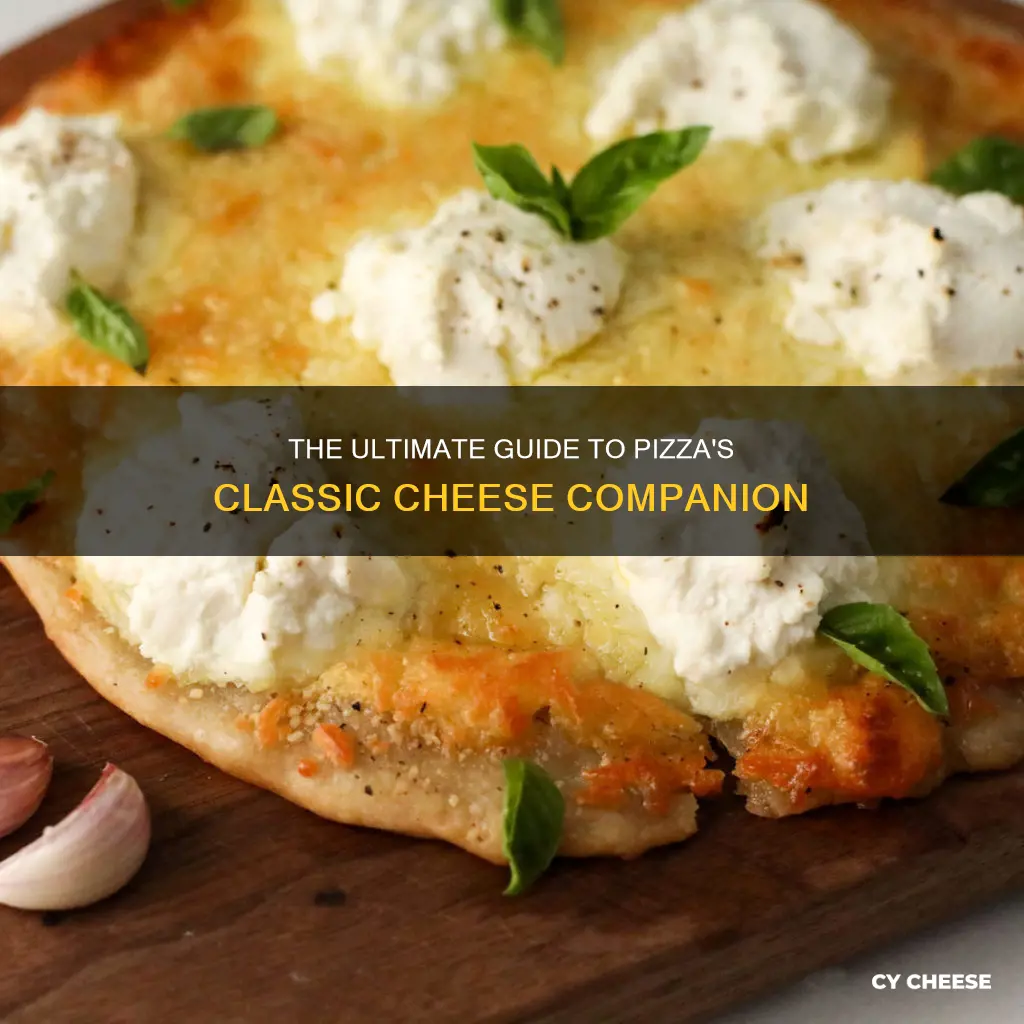 what is the common cheese put on pizza