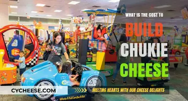 Unveiling the Expenses: Building a Chuck E. Cheese Entertainment Center