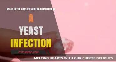 Understanding Cottage Cheese-Like Discharge in Yeast Infections: Causes and Care