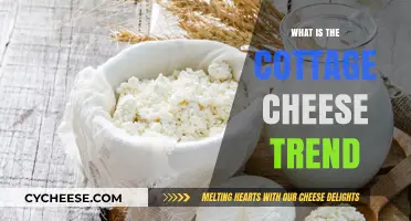 Cottage Cheese Craze: Unraveling the Viral Trend and Its Health Benefits