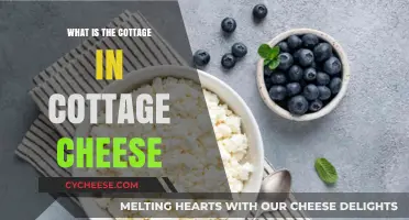 Unveiling the Origin: What's the Cottage in Cottage Cheese?