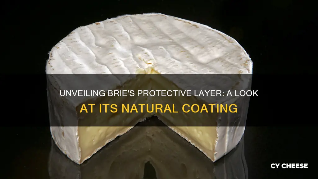 what is the covering on brie cheese made of