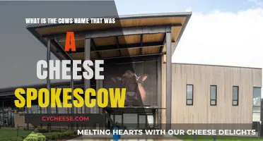 Meet Tillamook's Beloved Cheese Spokescow: Her Name and Legacy