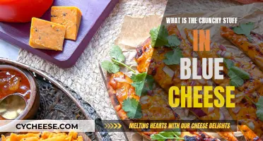 The Mystery of Blue Cheese's Crunchy Bits Revealed