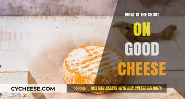 Understanding the Natural Rind: What is the Crust on Good Cheese?