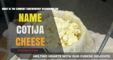 Cotija Cheese Controversy: Cultural Appropriation or Culinary Tradition?