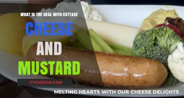 Cottage Cheese and Mustard: Unraveling the Unexpected Culinary Combo