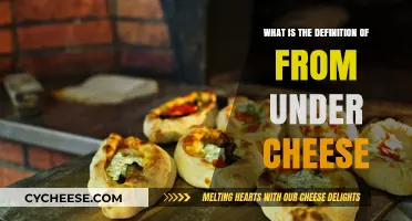 Understanding the Culinary Phrase: From Under Cheese Explained Simply