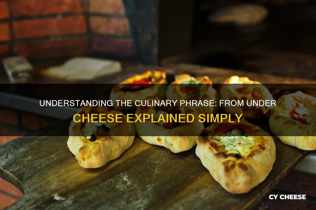 what is the definition of from under cheese