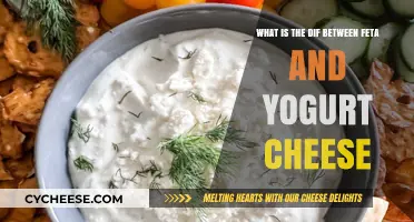 Feta vs Yogurt Cheese: What's the Difference?