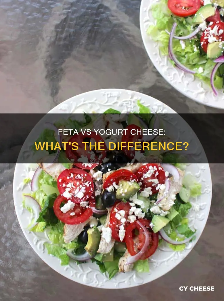 what is the dif between feta and yogurt cheese