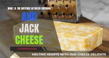 Cheddar vs. Jack: Unraveling the Cheesy Differences