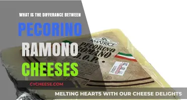 Pecorino Romano vs. Other Pecorino Cheeses: Key Differences Explained