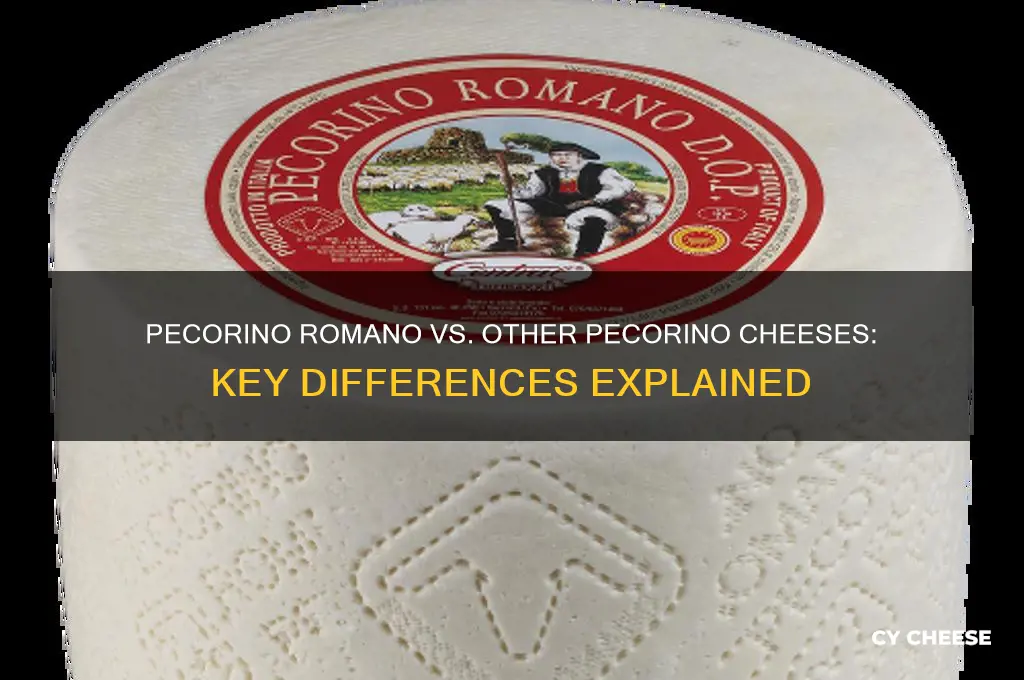 what is the differance between pecorino ramono cheeses