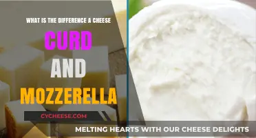 Cheese Curds vs. Mozzarella: Unraveling the Dairy Differences