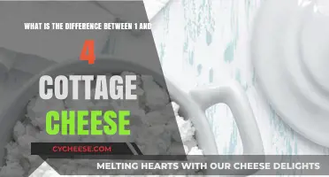 Cottage Cheese Comparison: Understanding the Difference Between 1% and 4%