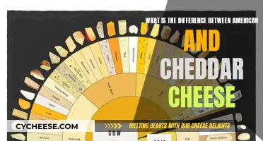 American vs. Cheddar: Unraveling the Cheesy Differences