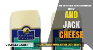 American vs. Jack Cheese: Unraveling the Melty, Flavorful Differences