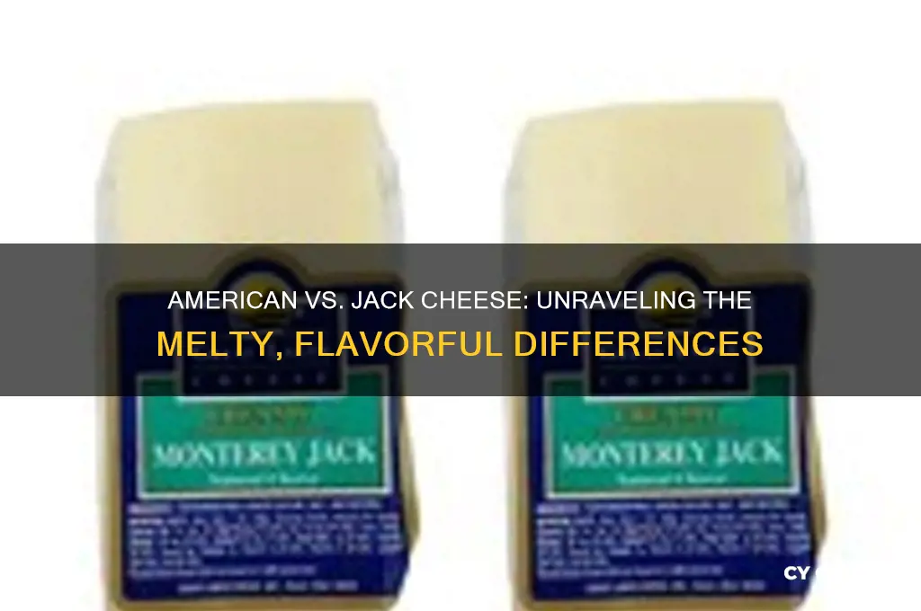 what is the difference between american cheese and jack cheese