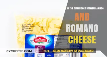Asiago vs. Romano: Unraveling the Distinct Flavors and Uses