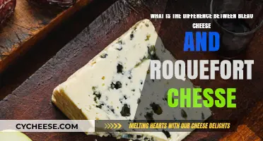 Blue Cheese vs. Roquefort: Unraveling the Distinct Flavors and Origins