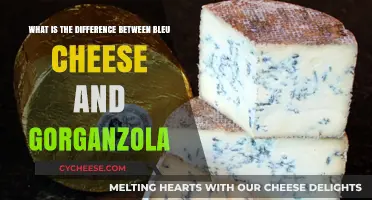 Bleu Cheese vs. Gorgonzola: Unraveling the Distinct Flavors and Textures