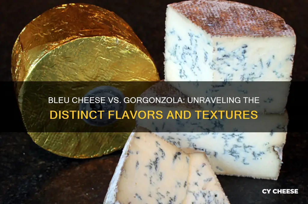 what is the difference between bleu cheese and gorganzola