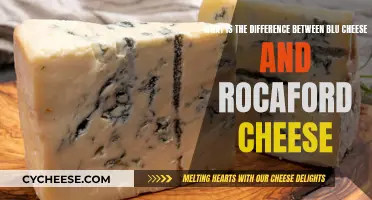 Blue Cheese vs. Rocquefort: A Cheesy Comparison