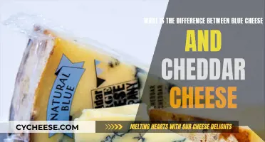 Blue Cheese vs. Cheddar: Unraveling the Flavorful Differences