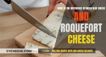 Blue Cheese vs Roquefort: What's the Real Difference?
