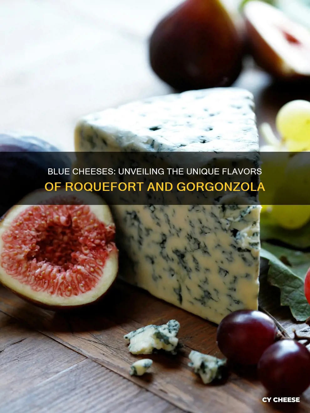 what is the difference between blue cheese roquefort and gorgonzola