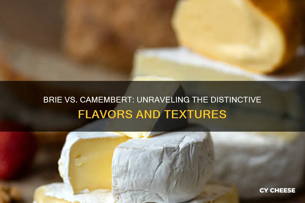 what is the difference between brie and camembert cheese
