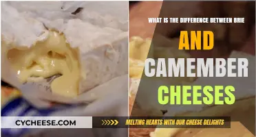 Brie vs. Camembert: Unraveling the Distinctive Flavors and Textures