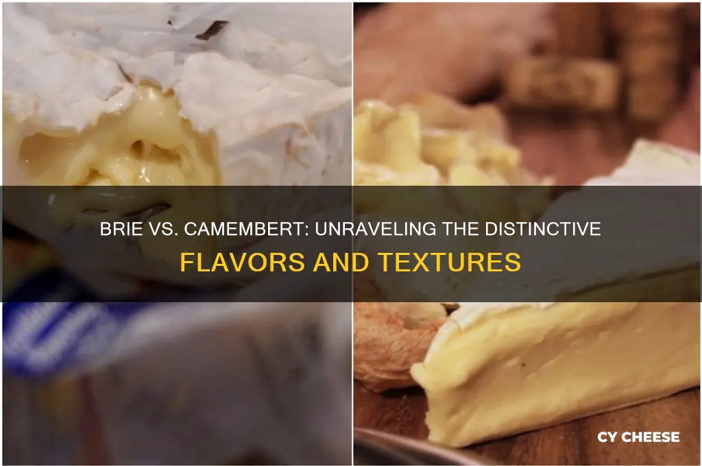 what is the difference between brie and camembert cheeses