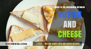 Butter vs. Cheese: Understanding the Key Differences and Uses