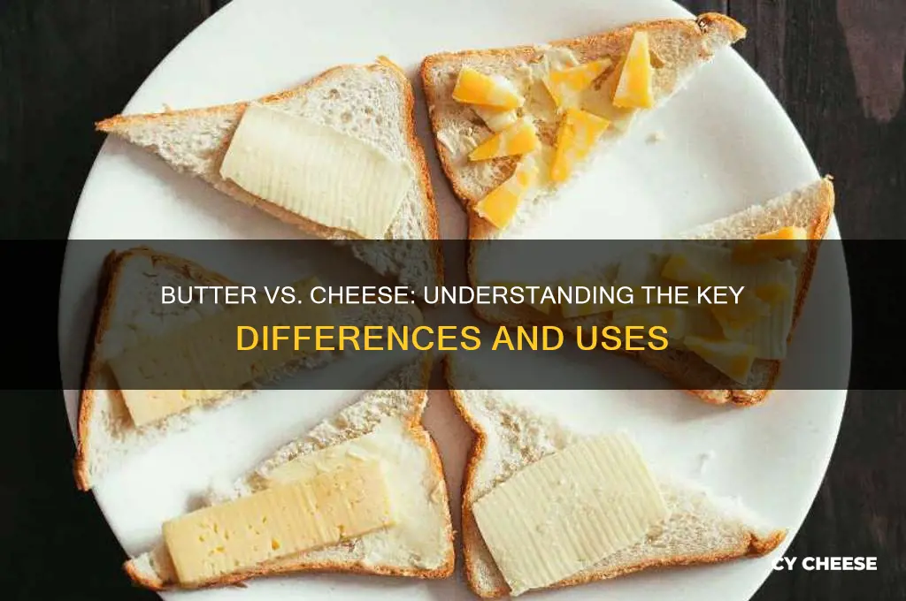 what is the difference between butter and cheese