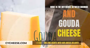 Cheddar vs. Gouda: Unraveling the Cheesy Differences