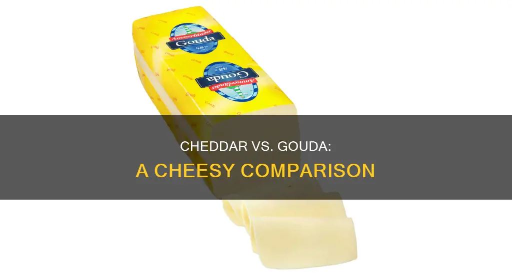 what is the difference between cheddar and gouda cheese