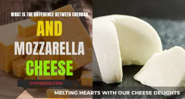 Cheddar vs. Mozzarella: Unraveling the Cheesy Differences