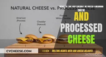 Cheddar vs. Processed: Unraveling the Cheese Conundrum