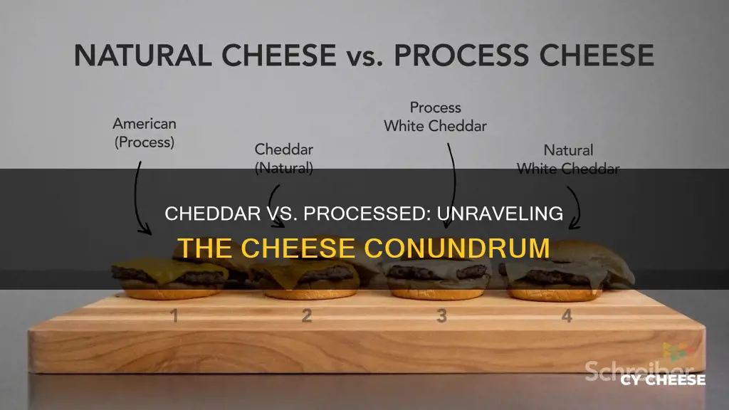 what is the difference between cheddar cheese and processed cheese