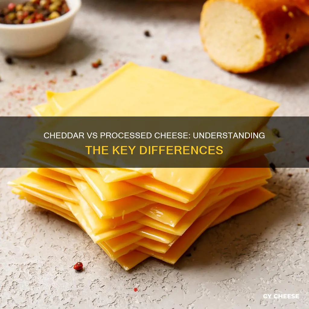 what is the difference between cheddar cheese and processed cheese