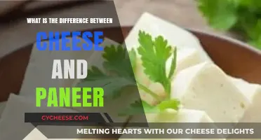 Cheese vs. Paneer: Unraveling the Key Differences and Uses