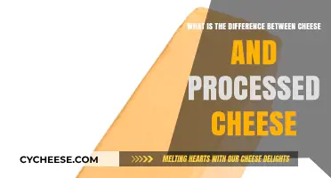 Cheese vs. Processed Cheese: Understanding the Key Differences