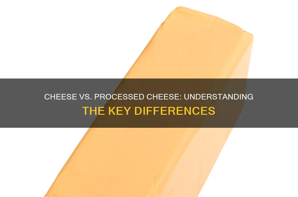 what is the difference between cheese and processed cheese